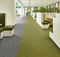 Flotex Colour Canyon 50*50 t 545027 Canyon Kelp фото 2 | FLOORDEALER